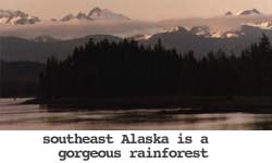 southeast Alaska is a gorgeous rainforest