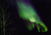 We were treated to the Aurora Borealis, one of nature's most spectacular phenomena.