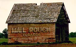 Mail Pouch Tobacco barn ad 1