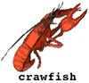 Crawfish
- suck the heads.
